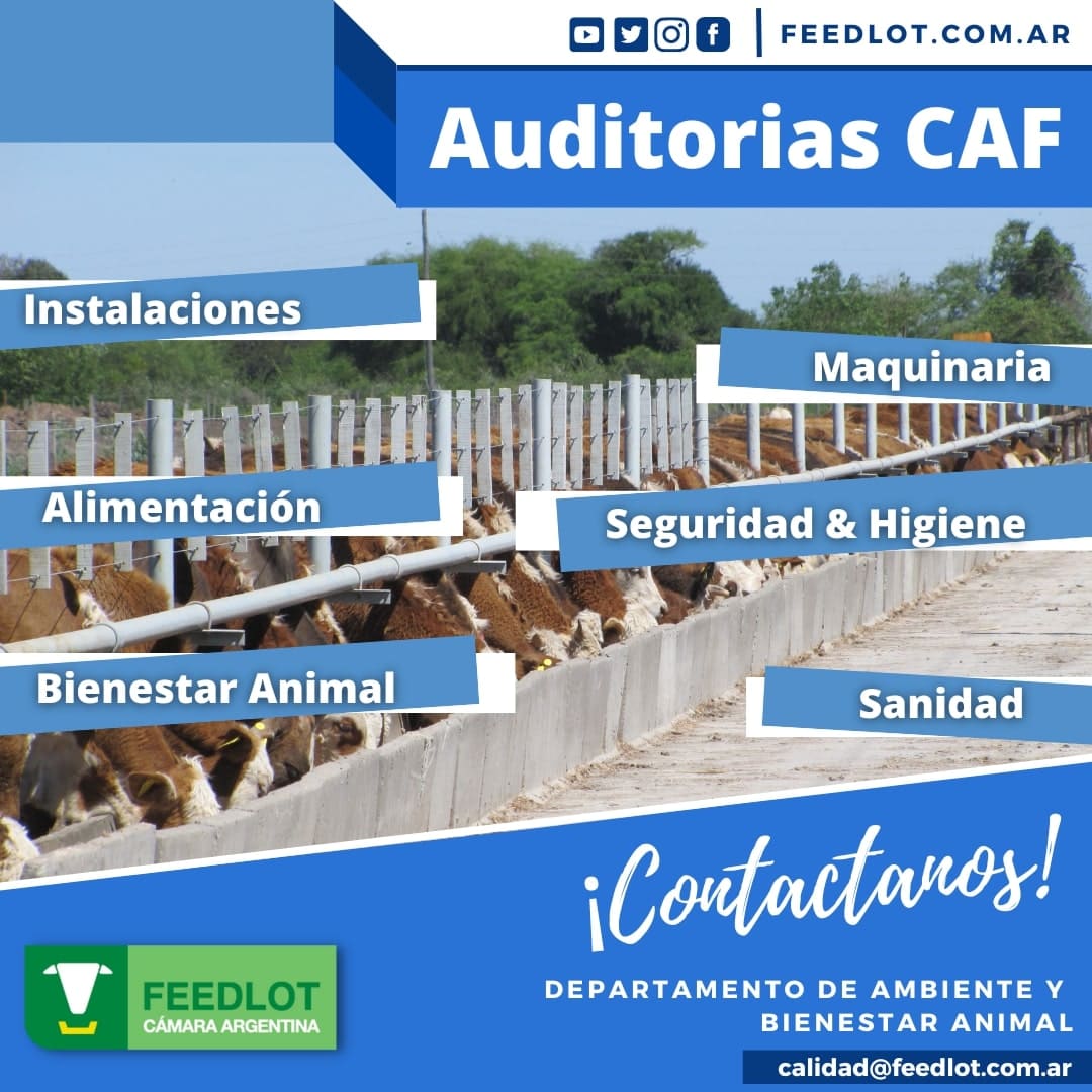 Auditorias